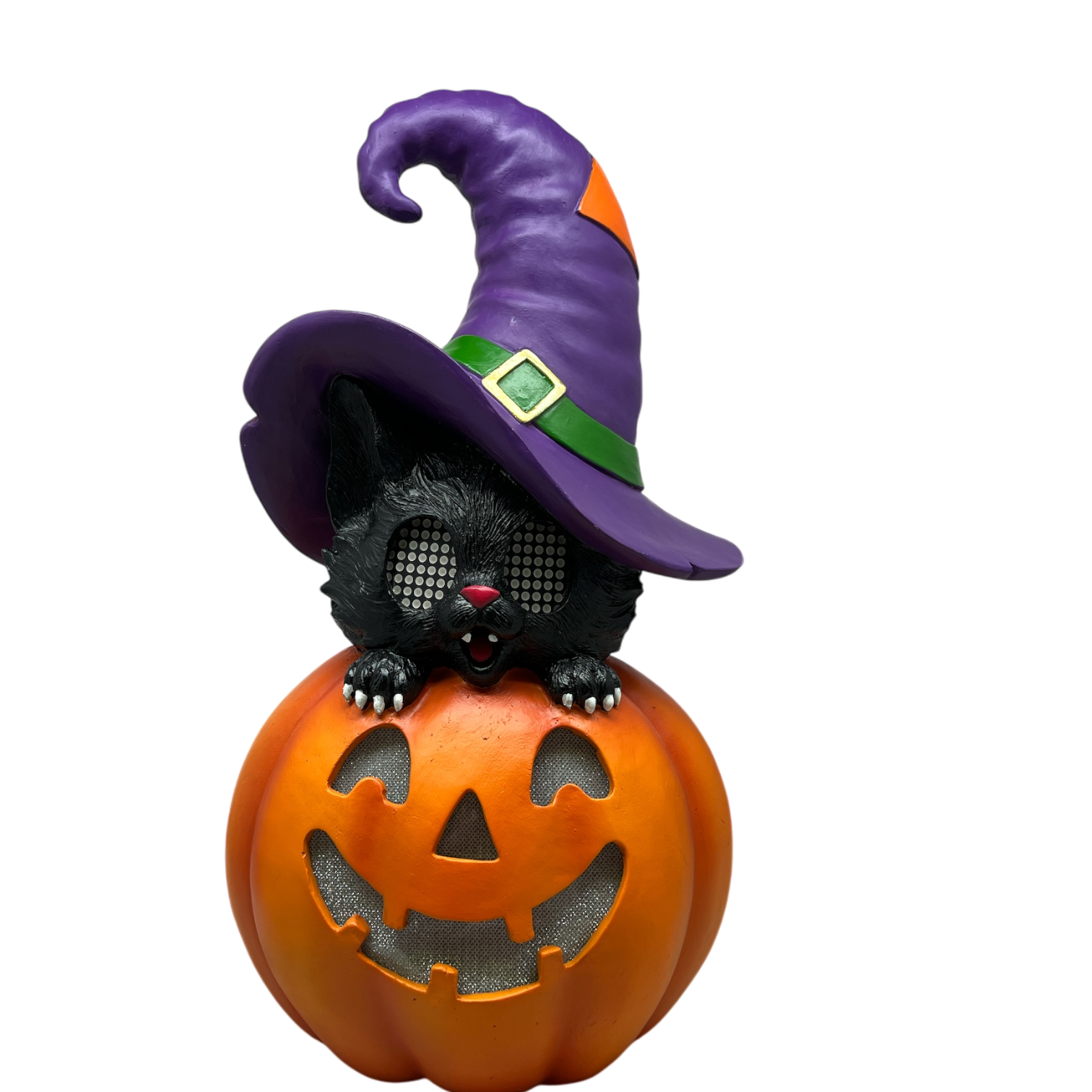 Cat On Pumpkin With Moving Digital Eyes