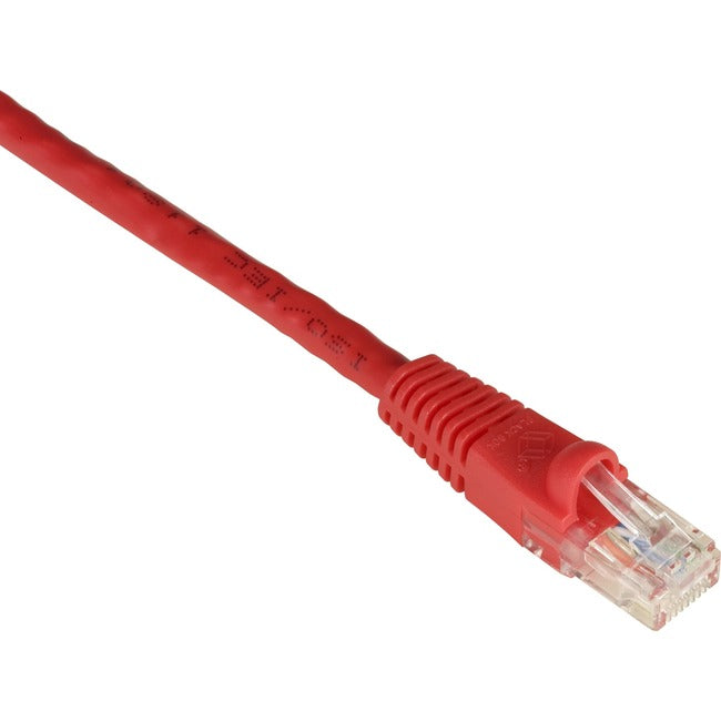 Cat6 550-Mhz Molded Snagless Stranded Ethernet Patch Cable - Unshielded (Utp), C Bbx-Evnsl673-0003