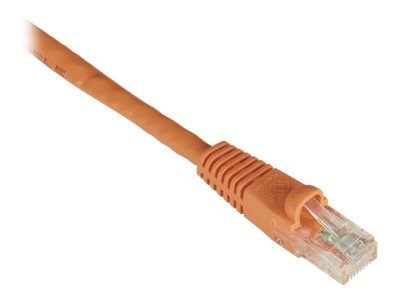 Cat6 550-Mhz Molded Snagless Stranded Ethernet Patch Cable-Unshielded (Utp), Cm Bbx-Evnsl679-0005