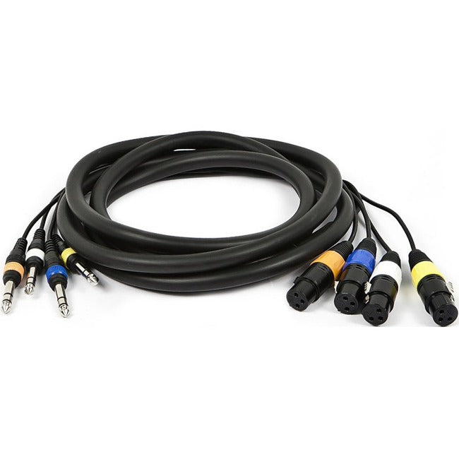 Channel-4Trs M To Xlr F Snake Cable 10Ft