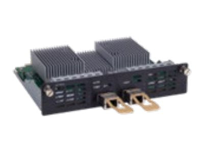 Check Point - Expansion module - 100 Gigabit QSFP28 x 2
