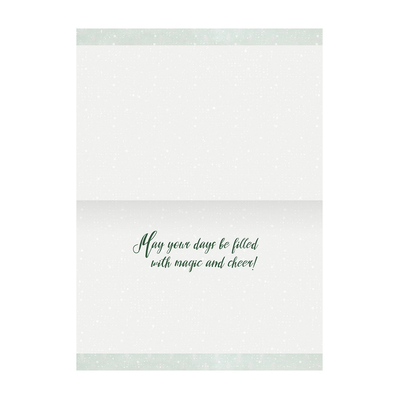 Cheers Petite Boxed Cards