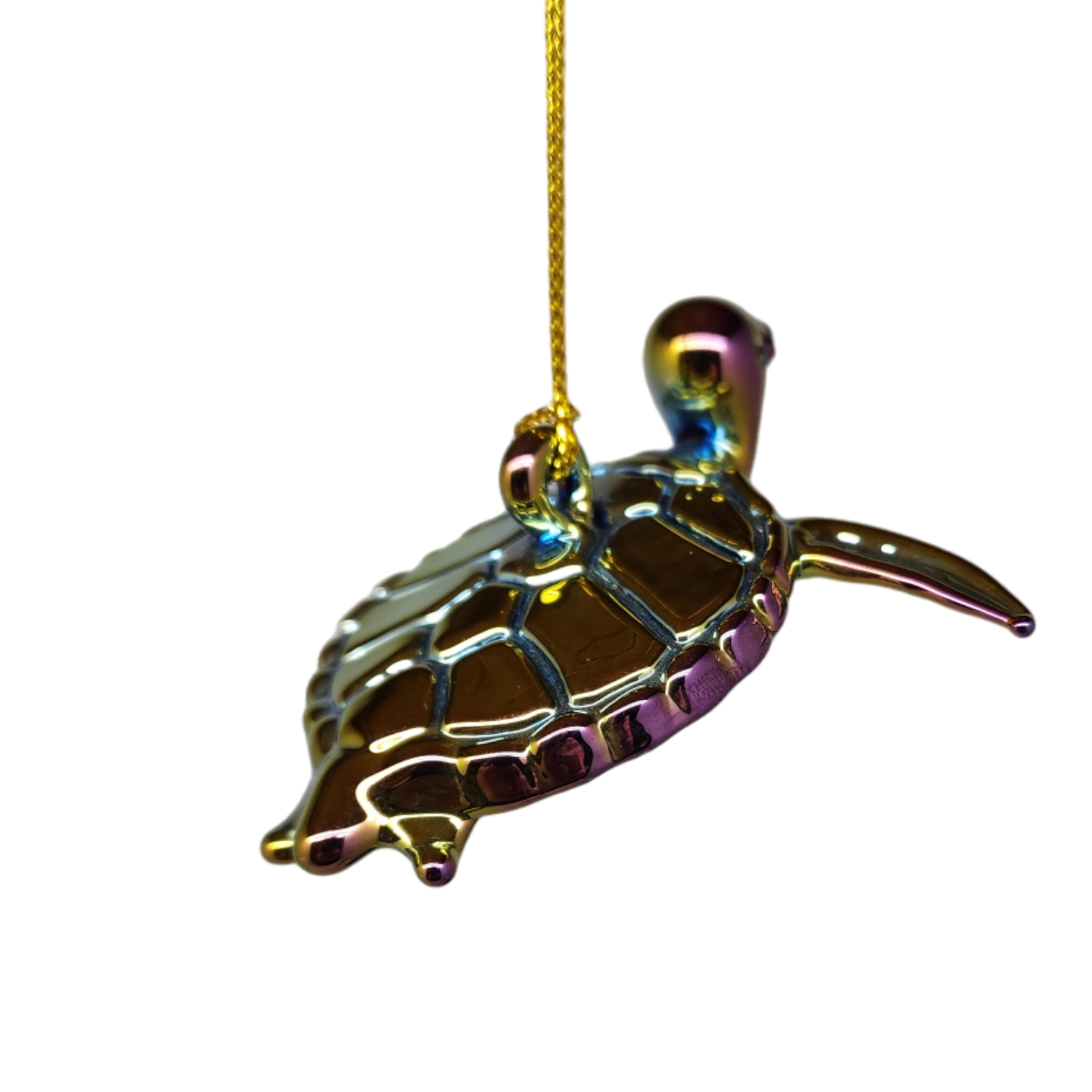 Chromatic Collection Seaturtle