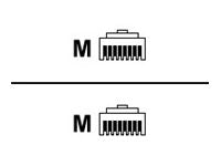 Cisco - ISDN BRI S/T cable - RJ-45 (M) to RJ-45 (M) - for Cisco 80X, 81X, 82X, 83X; SOHO 71, 76, 77, 78, 91, 96, 97