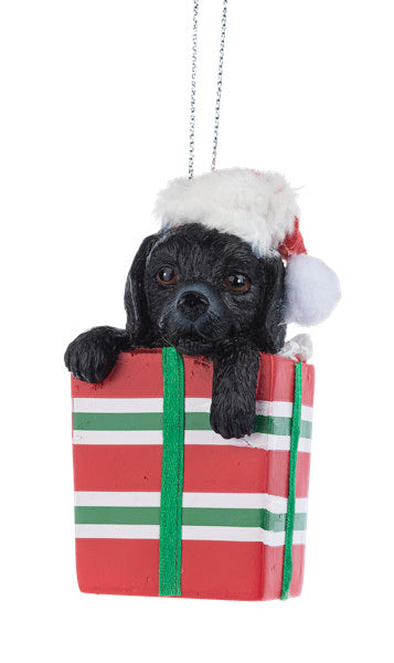 Comfy & Cozy Pet Ornament - Black Lab
