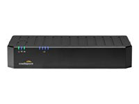 Cradlepoint E100 Router with 5-Year NetCloud Essentials Plan for Small Branches
