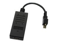DT Research - Display adapter - Mini DisplayPort (M) to HDMI (F) - 7.9 in - for Multi Screen Appliance MS1600H, MS1600L, MS2800H, ACC-012-12
