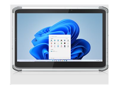 DT Research Rugged Medical Tablet 316T/MD - Rugged - tablet - Intel Core i7 - 1355U / up to 5 GHz - Win 11 IoT Enterprise - Intel 316T-71-5B
