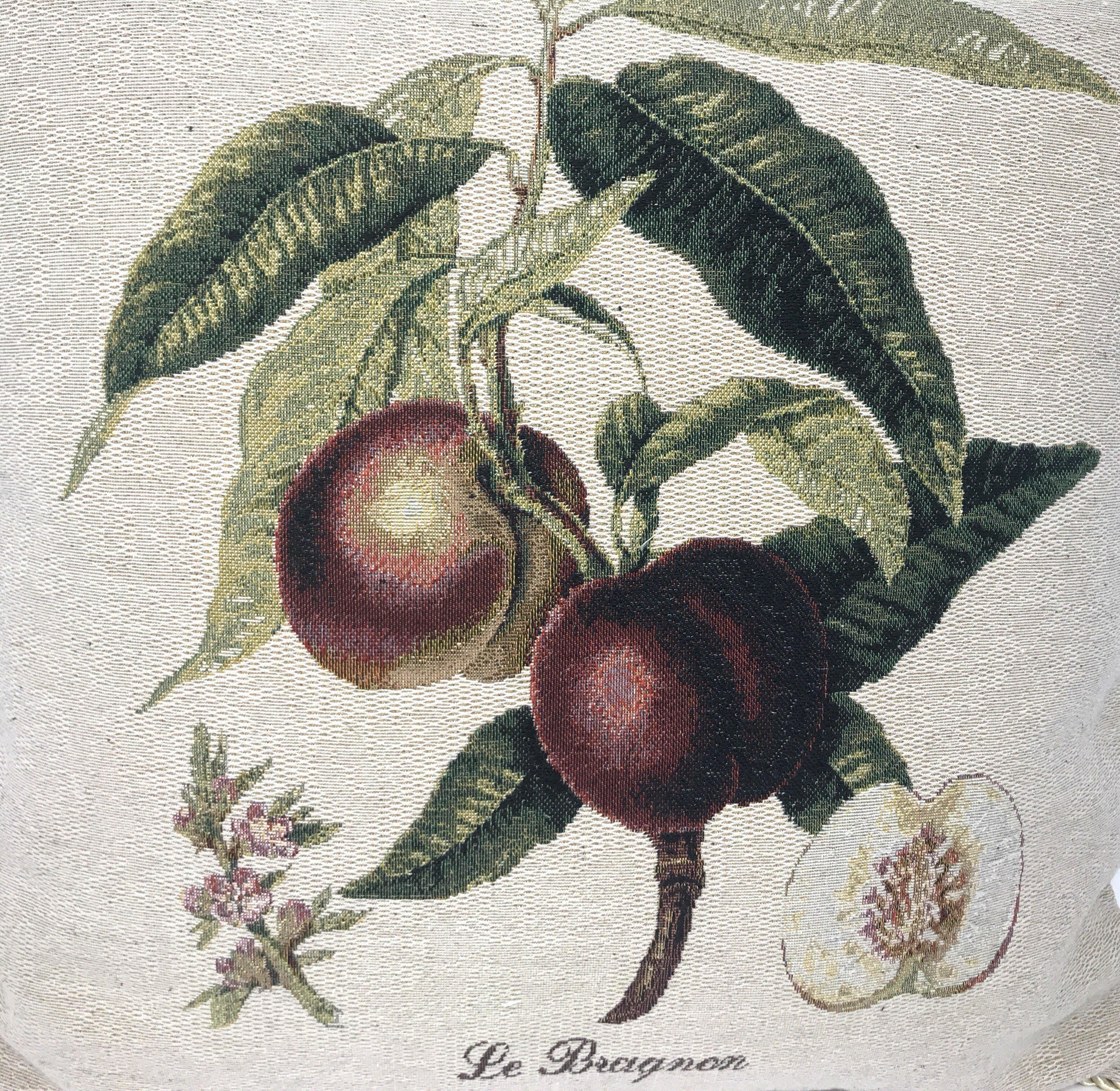DaDa Bedding Nectarine Fruits Elegant Accent Throw Pillow Cushion Cover - 18" - 1-Piece