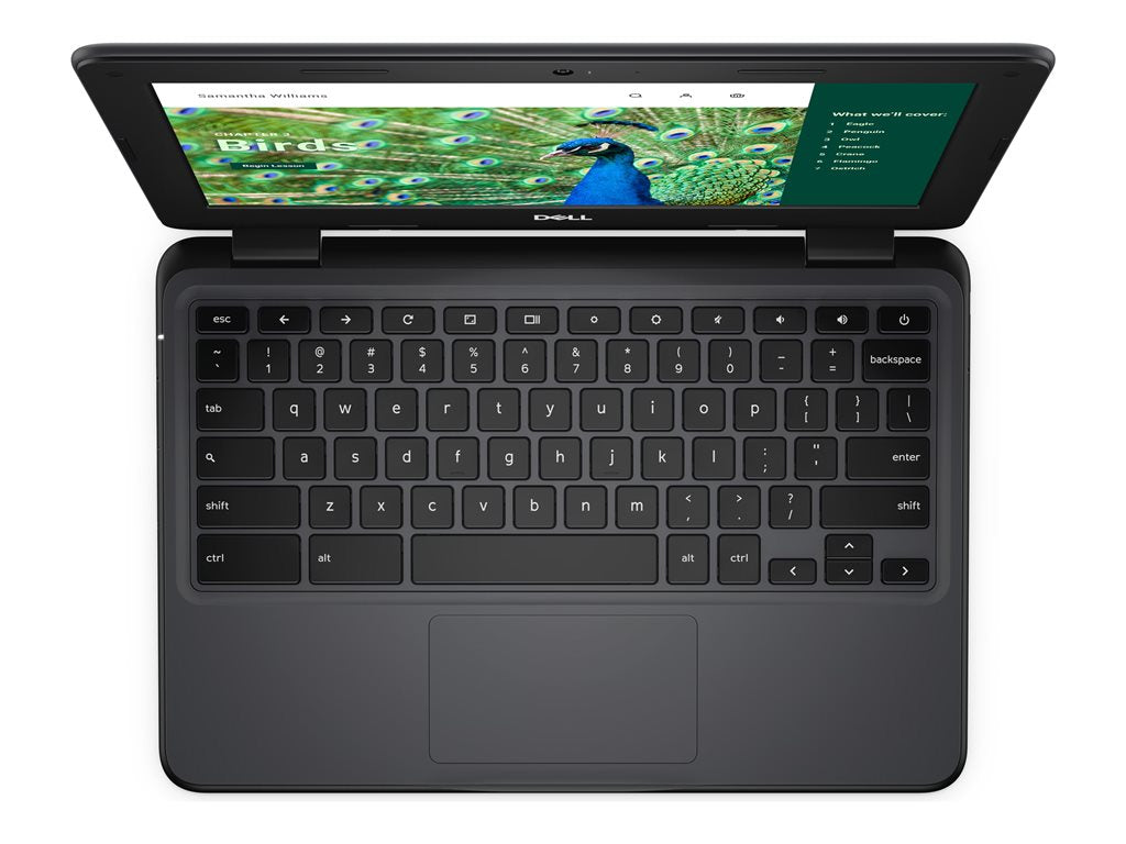 Dell Chromebook 3120 (2024) - Intel N-series - N100 / up to 3.4 GHz - Chrome OS - UHD Graphics - 8 GB RAM - 64 GB eMMC - 11.6 NRD5N