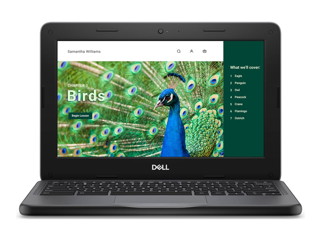 Dell Chromebook 3120 (2024) - Intel N-series - N100 / up to 3.4 GHz - Chrome OS - UHD Graphics - 8 GB RAM - 64 GB eMMC - 11.6 NRD5N