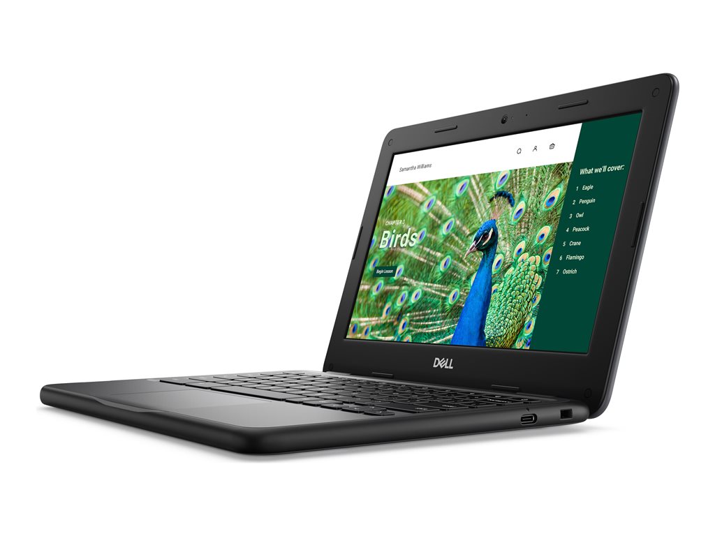 Dell Chromebook 3120 (2024) - Intel N-series - N100 / up to 3.4 GHz - Chrome OS - UHD Graphics - 8 GB RAM - 64 GB eMMC - 11.6 NRD5N
