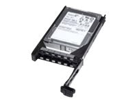 Dell - Hard drive - 3 TB - hot-swap - 3.5 - SATA 3Gb/s - 7200 rpm - for PowerEdge R320 (3.5")