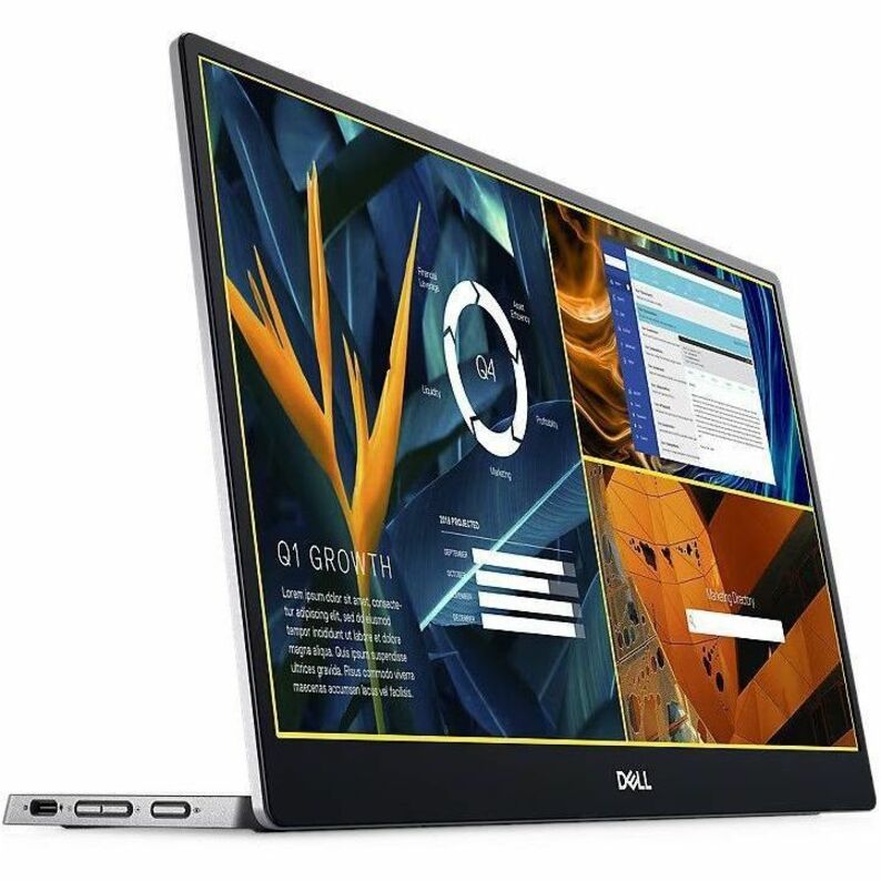 Dell P1424H 14" Class Full HD LED Monitor - 16:9 - Black - 14" Viewable - In-plane