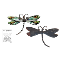 Dragonfly Inspriational Pocket Charm -