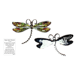 Dragonfly Inspriational Pocket Charm -