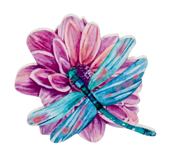 Dragonfly Screen Door Savers-