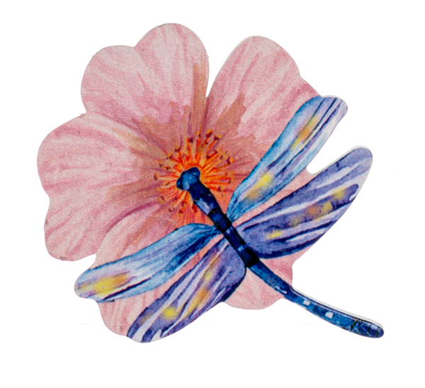 Dragonfly Screen Door Savers-