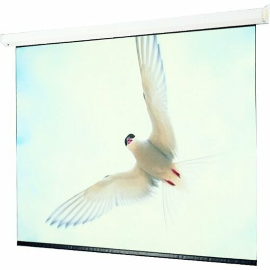 Draper 94 in Diag 16x10 CG XH800E Projection Screen