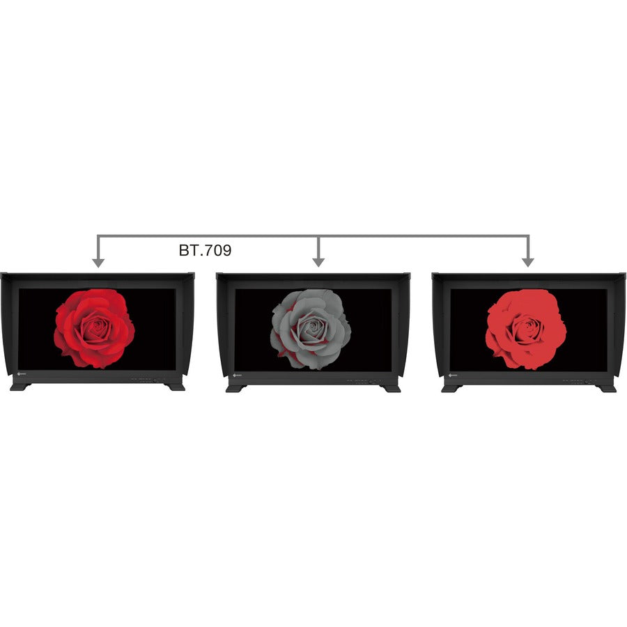 EIZO ColorEdge CG3146 31 Class 4K LCD Monitor - 17:9" CG3146-BK