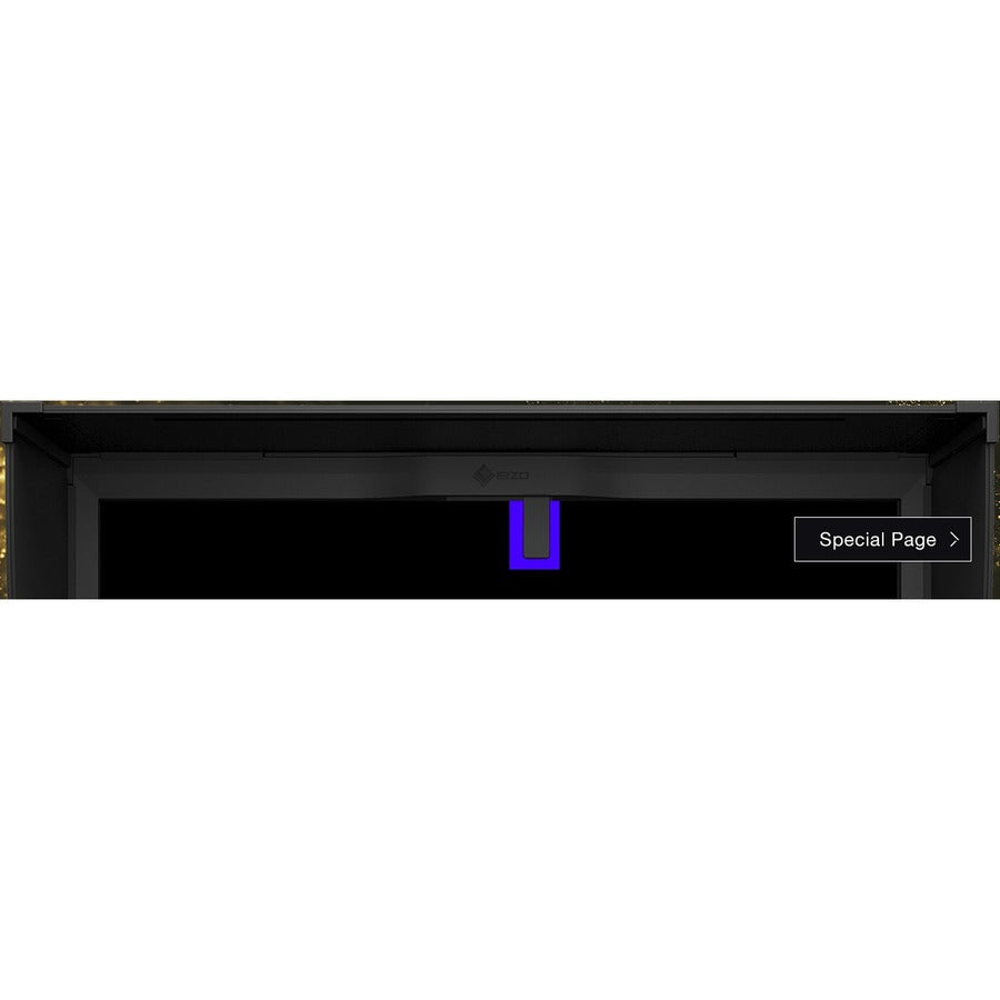 EIZO ColorEdge CG3146 31 Class 4K LCD Monitor - 17:9" CG3146-BK