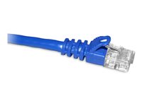 ENET Cat6a Blue 100 Foot Patch Cable with Snagless Molded Boot (UTP) High-Quality Network C6A-BL-100-ENC