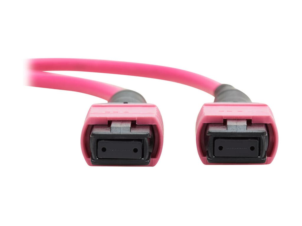 Eaton Tripp Lite Series 100G Multimode 50/125 OM4 Fiber Optic Cable (12F MTP/MPO-PC F/F), OFNP, Magenta, 3 m (9.8 ft.), TAA - N845B-03M-12MTA