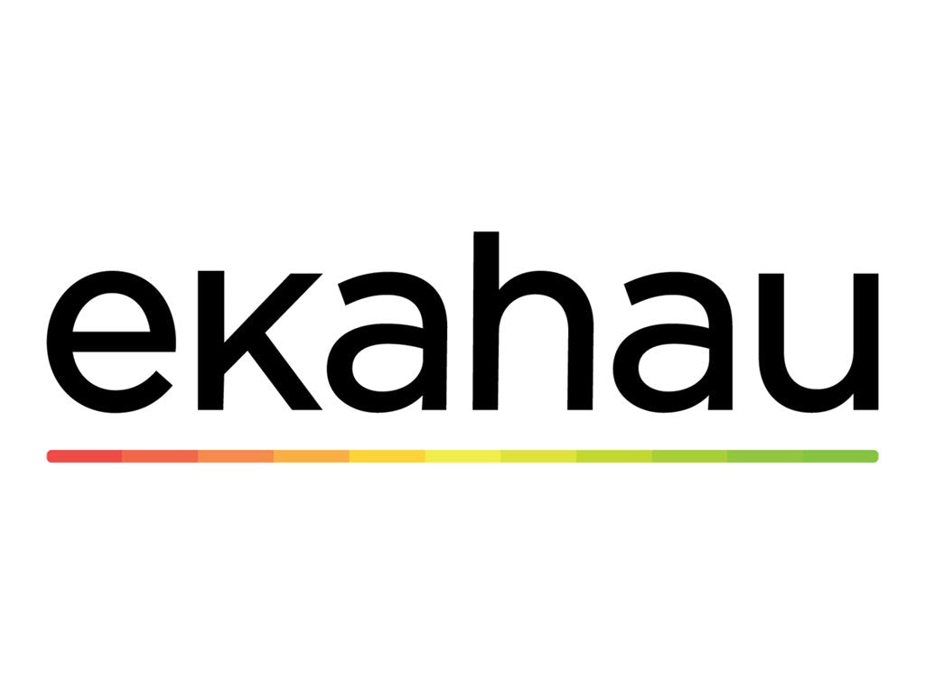 Ekahau - Power adapter - 60 Watt - output connectors: 1 - for Sidekick 2 ESK-2-POWER