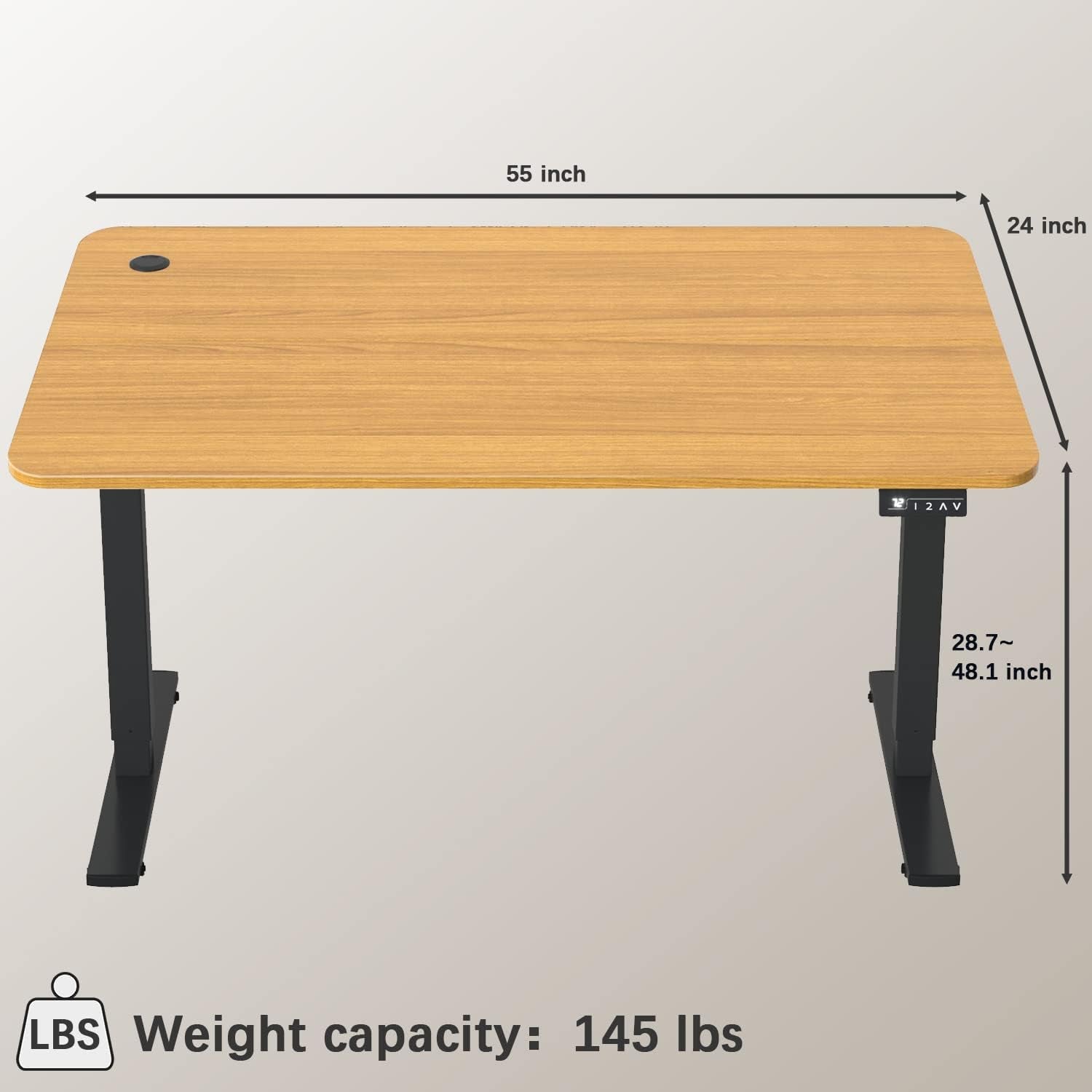 Electric Height Adjustable Standing Desk 55x24 Memory Preset