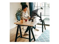 Ergotron Mounting Arm for Monitor - Black