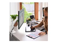 Ergotron Mounting Arm for Monitor - White