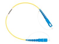 Fluke Networks Singlemode 9 &micro;m TRC 0.3 m for OTDR Port (SC/SC)