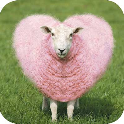 Friendship Card - Love Ewe