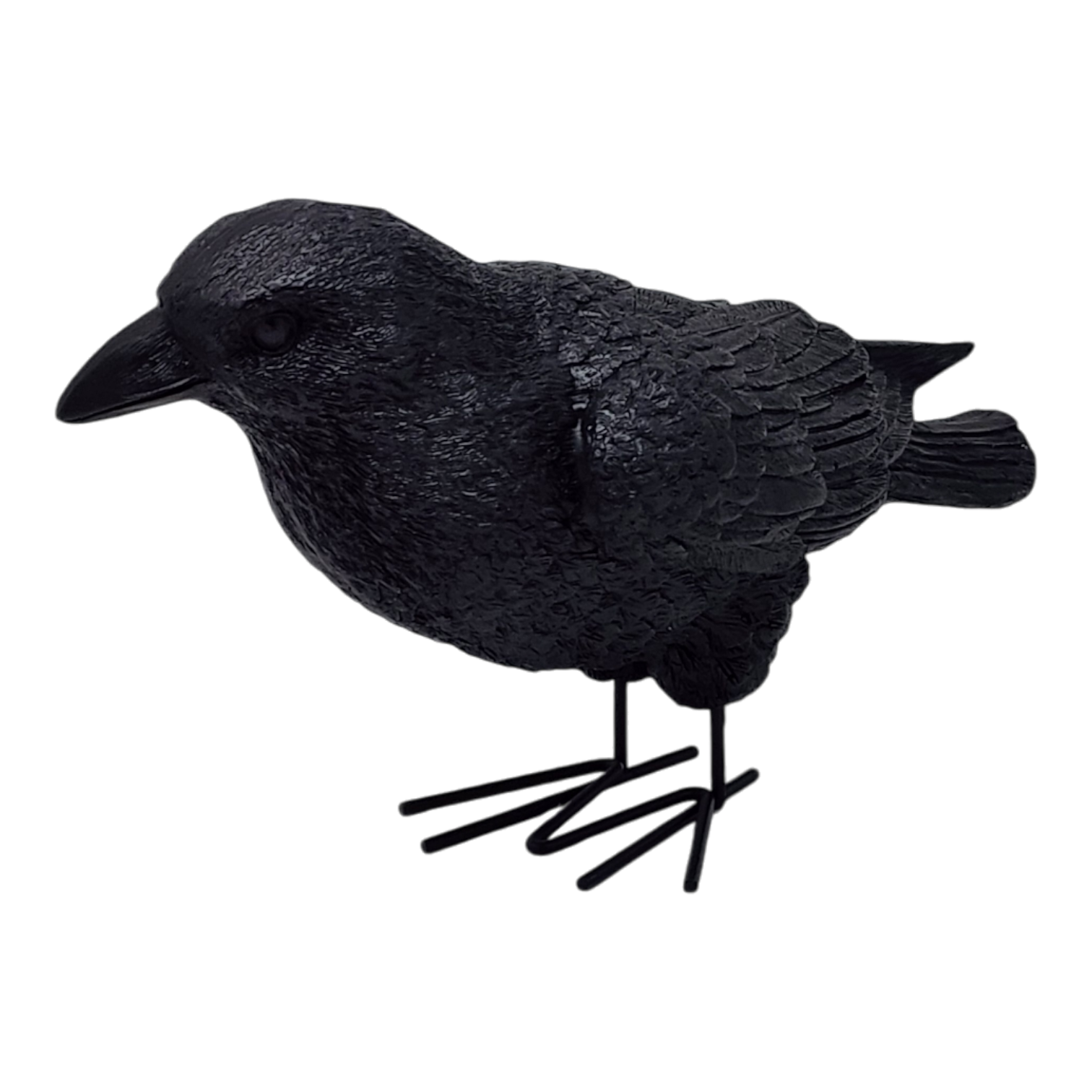 Fright Night Crow - Looking Ahead