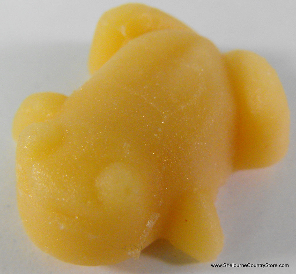 Frog Box Maple Candy