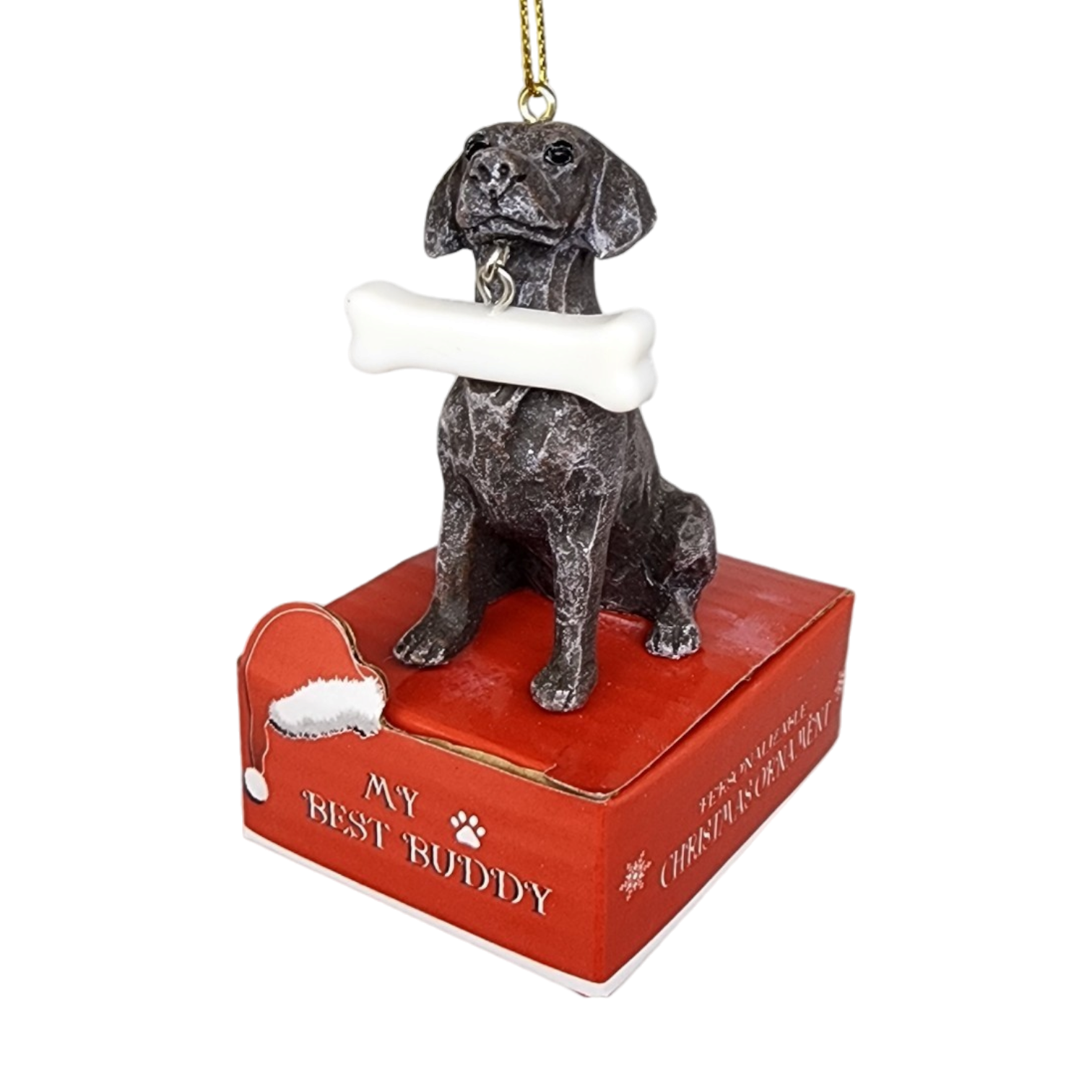 German Shorthaired Pointer with Bone Ornament