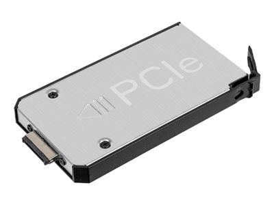 Getac - SSD - 1 TB - hot-swap - PCIe - with canister GSSGX9