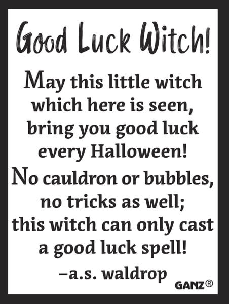 Good Luck Witch Charm -