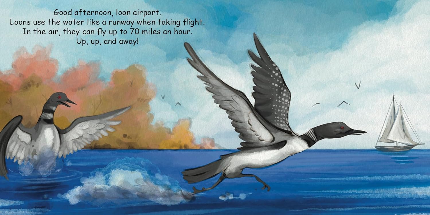 Good Night Board Book - Loons