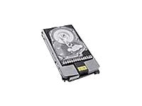 HPE Dual Port - Hard drive - 300 GB - hot-swap - 4Gb Fibre Channel - 15000 rpm - for StorageWorks Enterprise Virtual