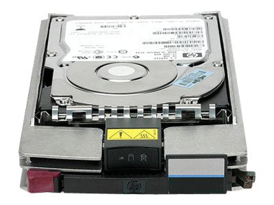 HPE Dual Port - Hard drive - 300 GB - hot-swap - 4Gb Fibre Channel - 15000 rpm - for StorageWorks M6412A; StorageWorks