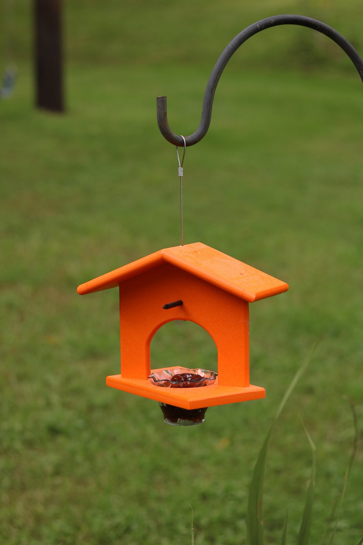 Hanging Oriole Jelly and Orange Bird Feeder, Eco-Friendly Poly Lumber