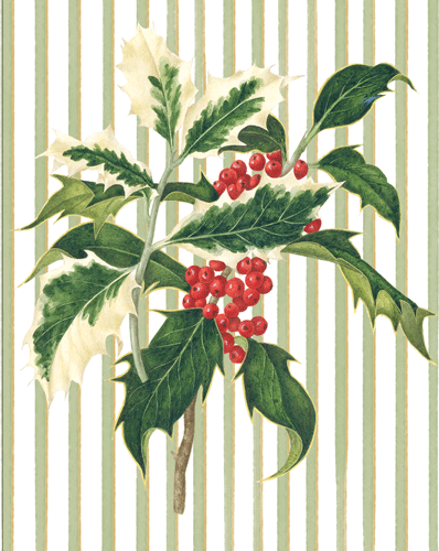 Holly Sprig Boxed Christmas Cards