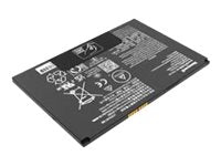 Honeywell Battery - For Tablet PC - Battery Rechargeable - Proprietary Battery Size - 8000