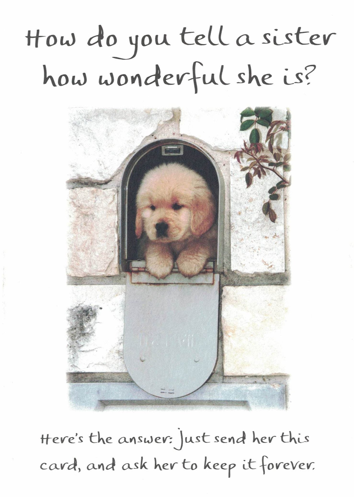 How Do You Tell A Sister How Wonderful She Is - Greeting Card