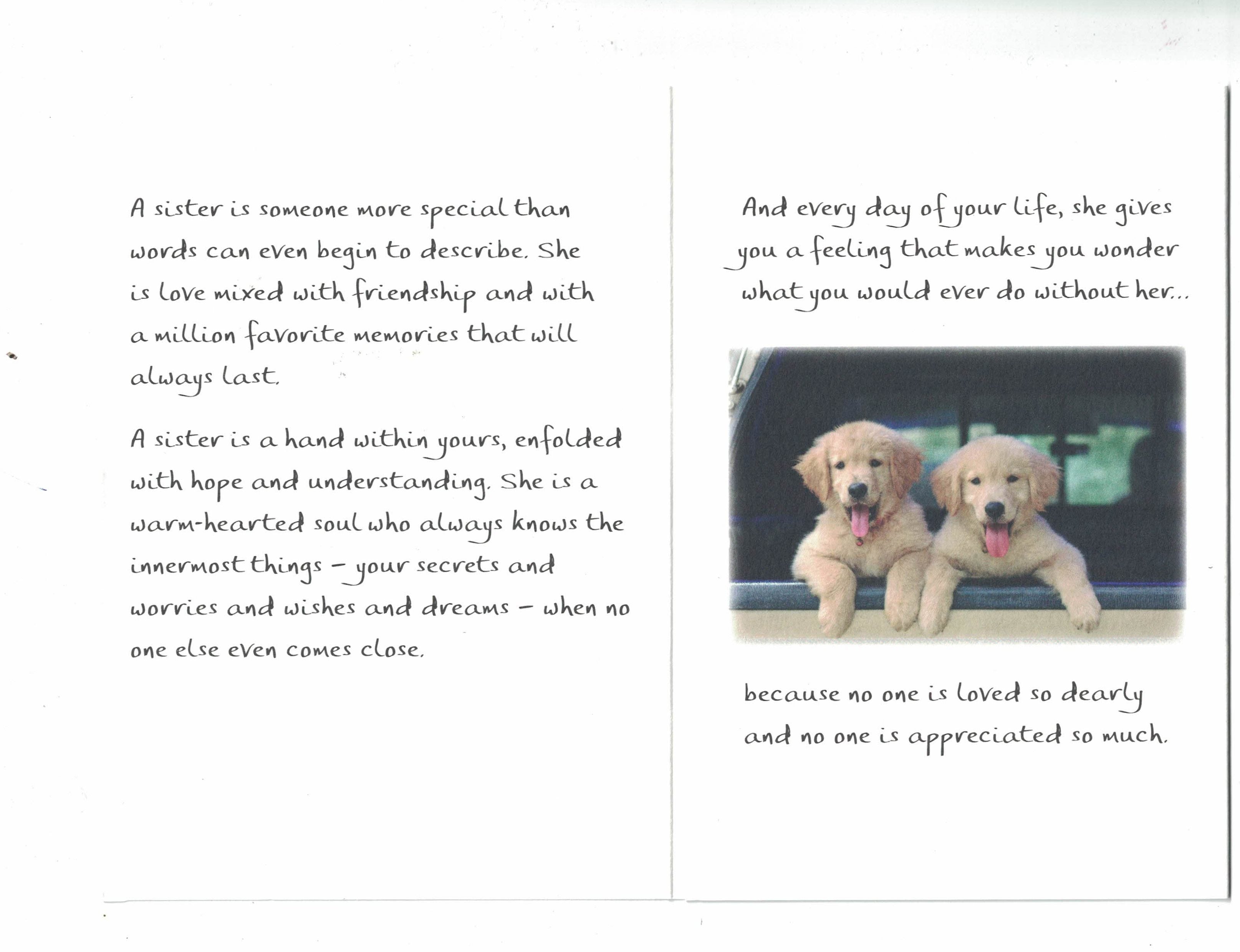 How Do You Tell A Sister How Wonderful She Is - Greeting Card