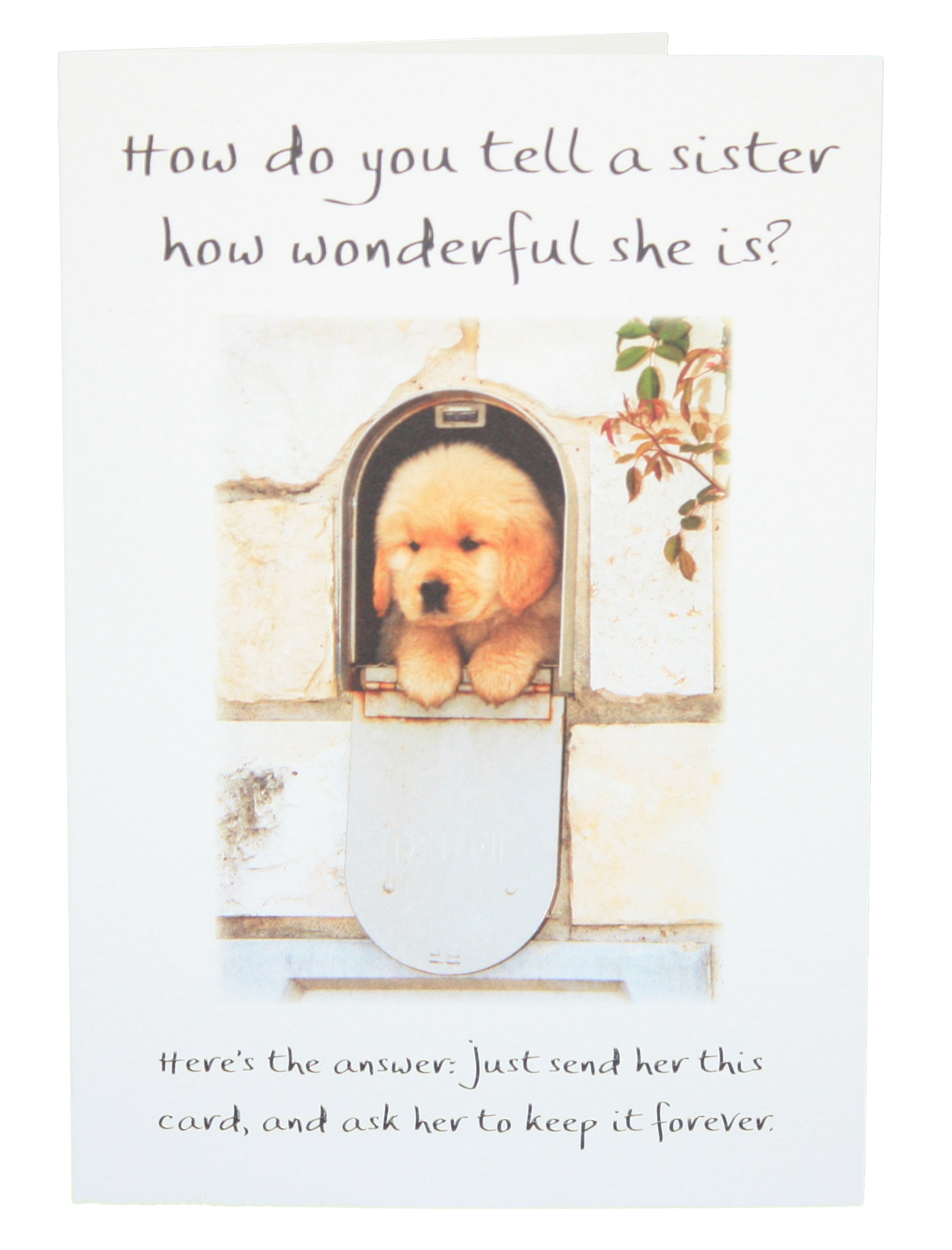 How Do You Tell A Sister How Wonderful She Is - Greeting Card