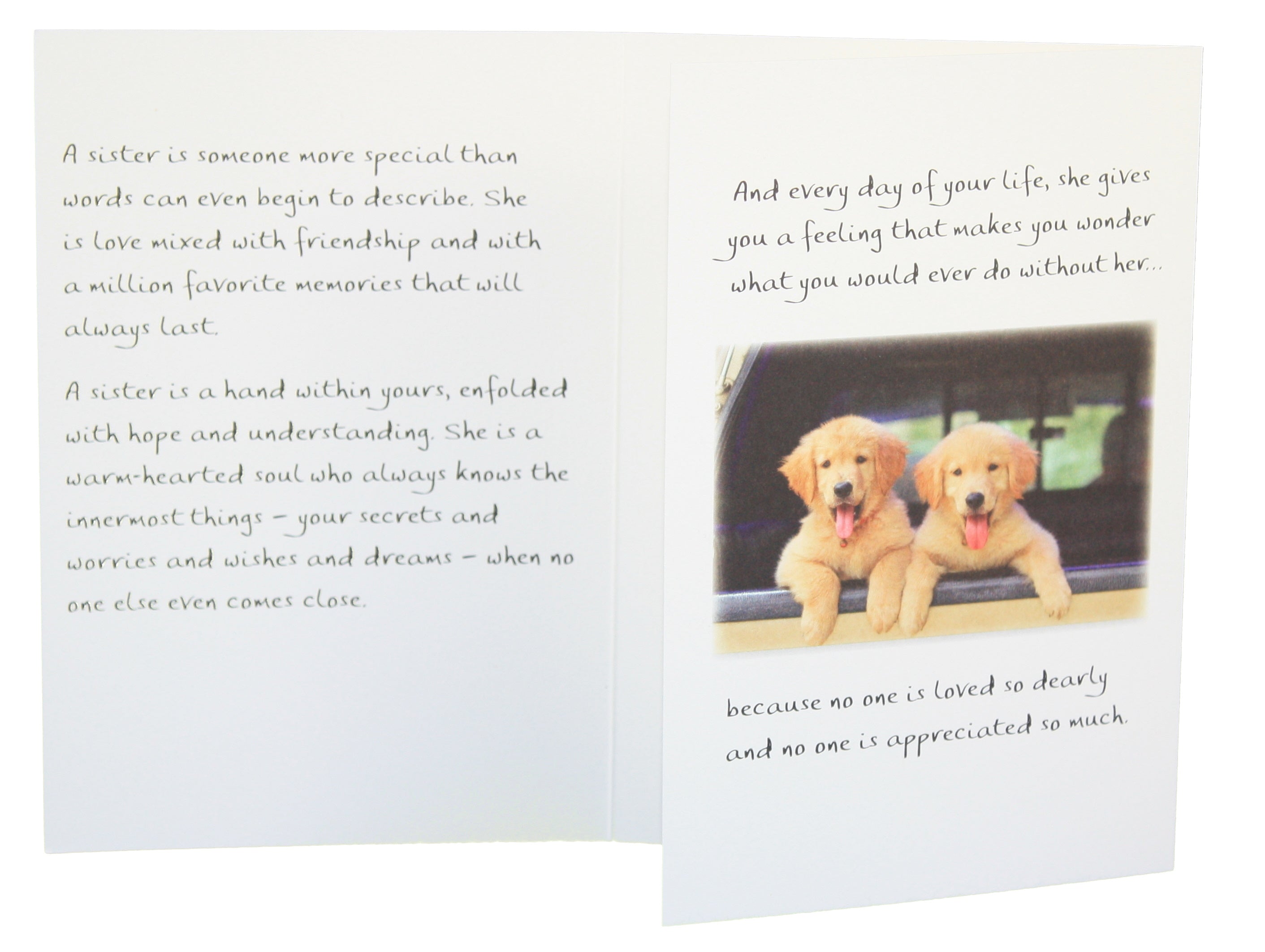 How Do You Tell A Sister How Wonderful She Is - Greeting Card