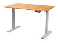 Humanscale eFloat Go 2.0 - Sit/standing desk - rectangular - electric height adjustment - bamboo - silver base FTG2448BM
