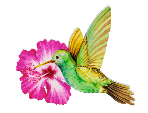 Hummingbird Screen Door Savers -
